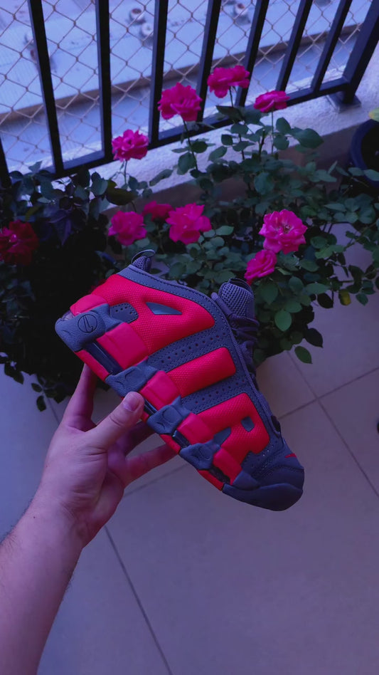 Nike air uptempo low